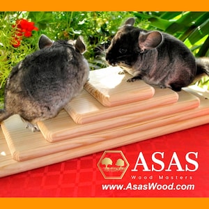 Chinchilla ledge, Kiln dried pine chinchilla ledges, ledges for chinchilla / Made by AsasWood