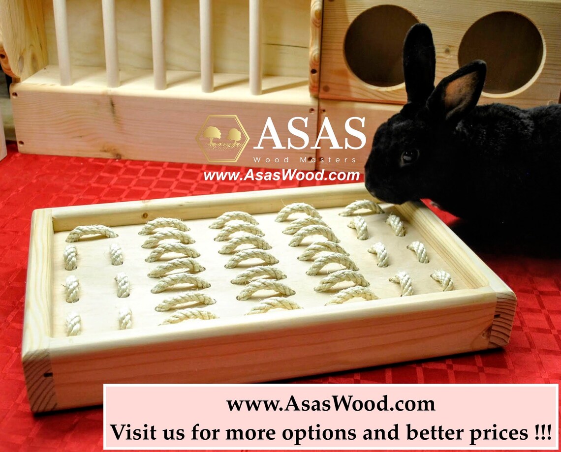 Bunny Rabbit Digging Box Digging Platform Rabbit Toys With Etsy