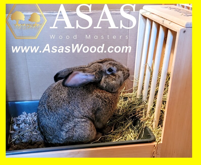 XL Size Rabbit Hay Feeder With Litter Box / Asaswood Etsy