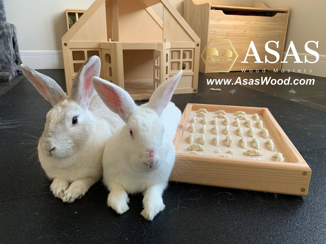 Bunny Rabbit Digging Box Digging Platform Rabbit Toys With Etsy