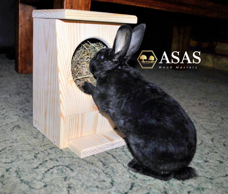 Rabbit Hay Feeder Wooden Bunny Hay Rack Asaswood Etsy