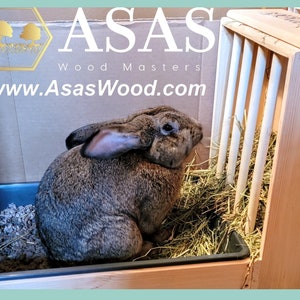 Rabbit Hay Feeder With Litter Box - XL size / Made by AsasWood