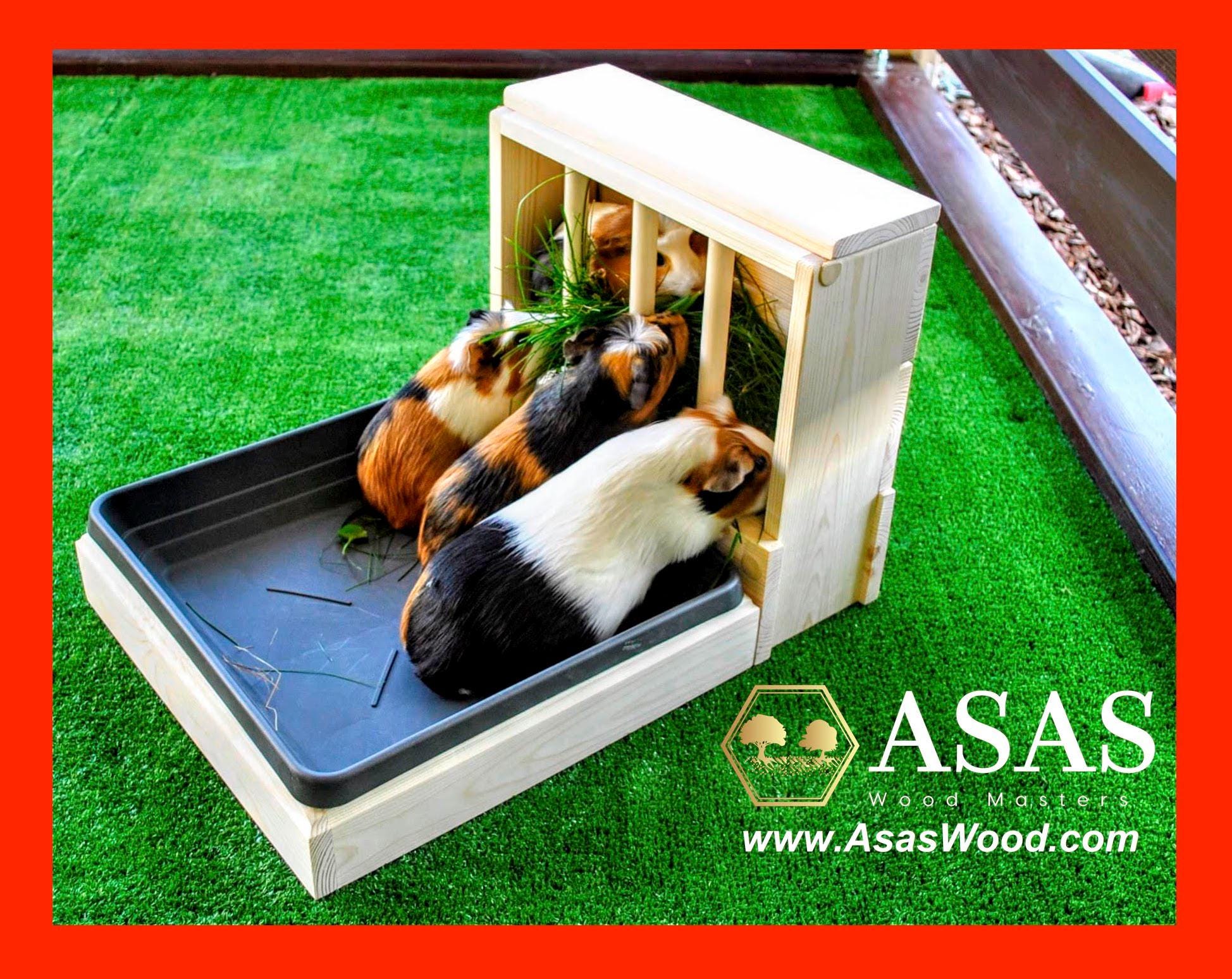 do guinea pigs need a litter box