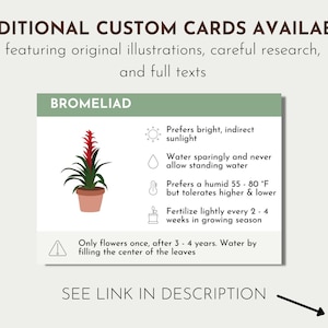 Pode incluir: Um cart&atilde;o imprim&iacute;vel com uma ilustra&ccedil;&atilde;o de uma planta de Brom&eacute;lia em um vaso de terracota. O cart&atilde;o inclui instru&ccedil;&otilde;es de cuidados para a planta, como rega, luz solar e prefer&ecirc;ncias de temperatura. O texto no cart&atilde;o diz "Bromeliad", "Prefere luz brilhante e indireta", "Regue com modera&ccedil;&atilde;o e nunca permita que a &aacute;gua fique parada", "Prefere uma umidade de 55-80 &deg;F, mas tolera temperaturas mais altas e mais baixas", "Fertilize levemente a cada 2-4 semanas durante a esta&ccedil;&atilde;o de crescimento", "Floresce apenas uma vez, ap&oacute;s 3-4 anos. Regue enchendo o centro das folhas", e "VER LINK NA DESCRI&Ccedil;&Atilde;O".