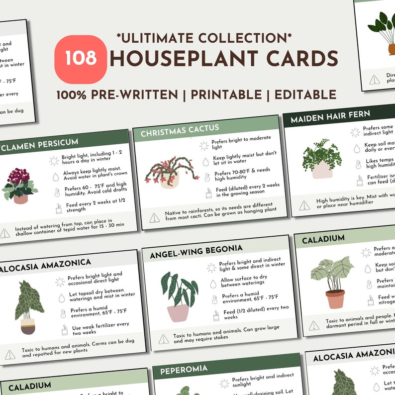 Pode incluir: Um conjunto de 108 cart&otilde;es de plantas de interior imprim&iacute;veis com ilustra&ccedil;&otilde;es e instru&ccedil;&otilde;es de cuidados. Os cart&otilde;es apresentam uma variedade de plantas de interior populares, incluindo o cacto de Natal, a samambaia-de-cabelo-de-virgem, a beg&ocirc;nia-asa-de-anjo e a calathea.