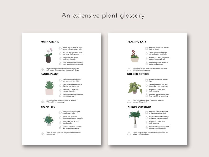 May include: Two white pages with plant care information. The text "An extensive plant glossary" is at the top. The left page features a Moth Orchid, Panda Plant, and Peace Lily. The right page features a Flaming Katy, Golden Pothos, and Guinea Chestnut.
