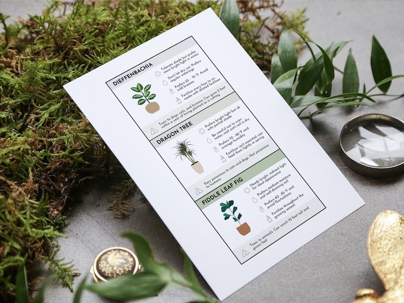 Plant Care Cards Plant Labels Indoor Printable Plant Care Etsy