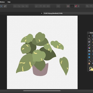 Pode incluir: Uma ilustra&ccedil;&atilde;o digital de uma planta em vaso com folhas verdes com marcas amarelas. A planta est&aacute; em um vaso de cor p&uacute;rpura claro.