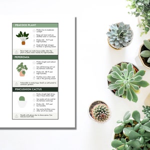 Pode incluir: Um guia para cuidar de tr&ecirc;s plantas dom&eacute;sticas populares: planta pav&atilde;o, peperomia e cacto almofada. Cada planta &eacute; ilustrada com um desenho simples e as instru&ccedil;&otilde;es de cuidados s&atilde;o listadas abaixo. As instru&ccedil;&otilde;es incluem luz, rega, temperatura e outras dicas de cuidados.