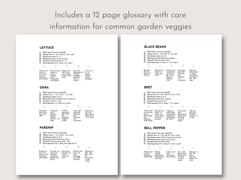 May include: Two-page spread from a gardening guide with detailed information on vegetables like lettuce, okra, and black beans. The text includes plant type, mature size, and care instructions. The top of the page reads, "Includes a 12 page glossary with care information for common garden veggies."