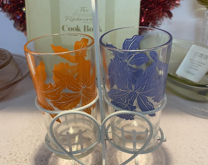Vintage Floral Glasses Set 2 w/ Carrier Cottagecore Farmhouse