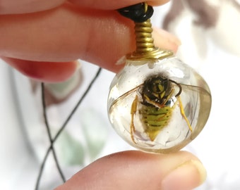 real wasp resin pendant necklace, handmade New Zealand jewellery