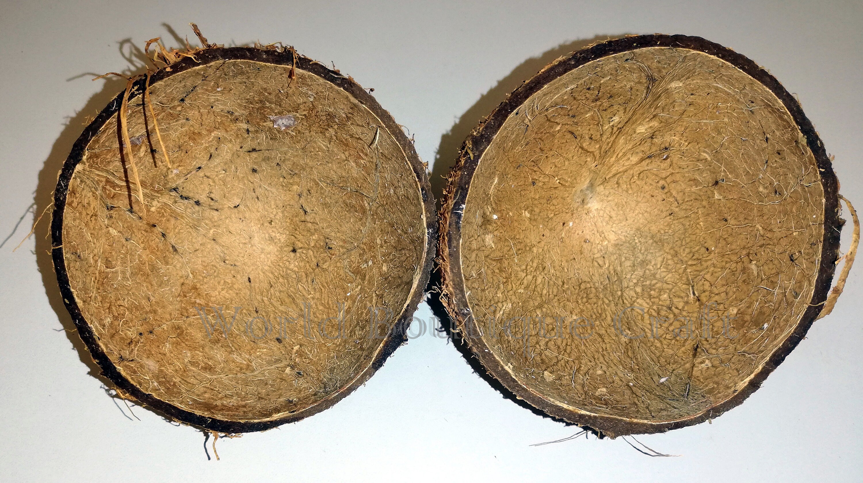 Fresh Coconut: From Shell To Bowl - 63b4yb9