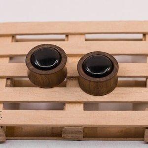 Brazil Nut Wood Ear Plugs with Ebonite: Organic Gauges