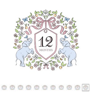 Cartes jalons mensuels bébé le même jour à imprimer | Cadeau de fête ou souvenir pour bébé fille à imprimer immédiatement | Fichier de conception numérique