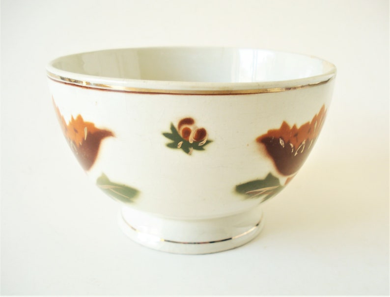May include: A white ceramic bowl with a gold rim and brown and green floral designs.
