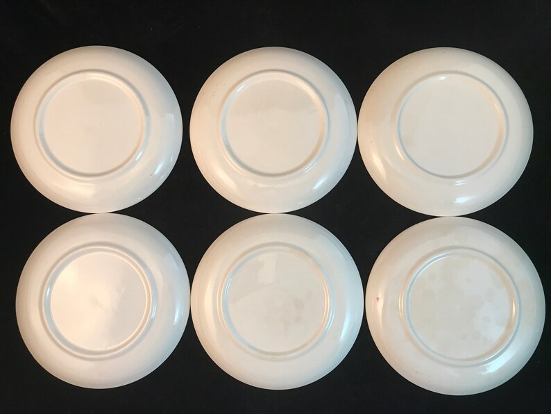 Stetson Meadow Rose 6 Bread and Butter Plates Set of 6