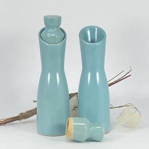 May include: Two light blue ceramic bottles with a matching stopper. One bottle has a narrow neck and a curved opening, the other has a wider opening. The stopper is cylindrical with a cork base. Decorative dried stems and a white flower are in the background.