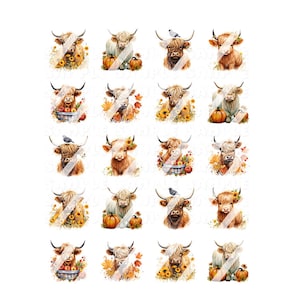 May include: A digital collage of 16 watercolor illustrations of Highland cows with fall-themed accents. Each image features a brown and white cow with a different autumnal background, including pumpkins, sunflowers, and fall leaves.