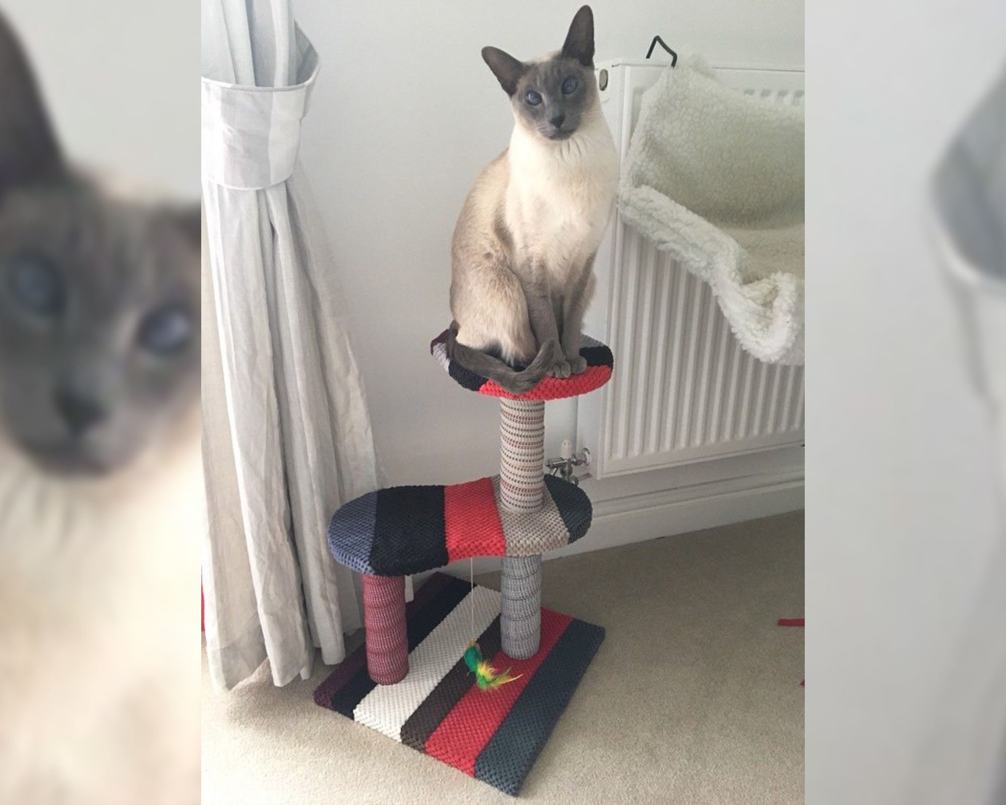 Unique hotsell cat scratchers