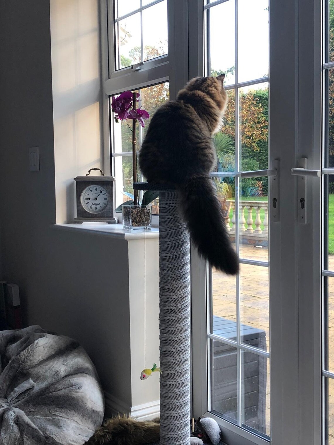 100cm Beige Giant Cat Scratching Post Extra Large Tall Etsy UK