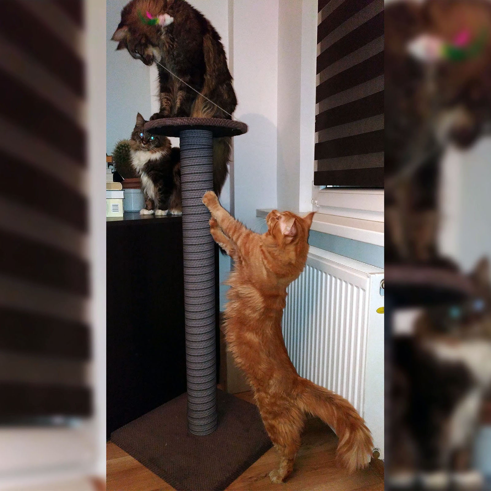 100cm Brown Giant Cat Scratching Post Extra Large Tall Etsy