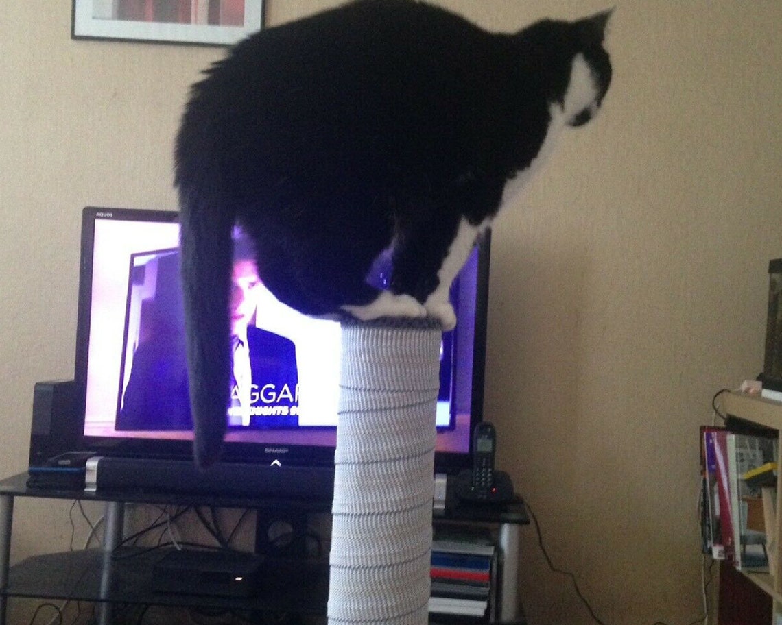 Grey Handmade Cat Scratching Pole 54cm No Sisal Cat Etsy UK