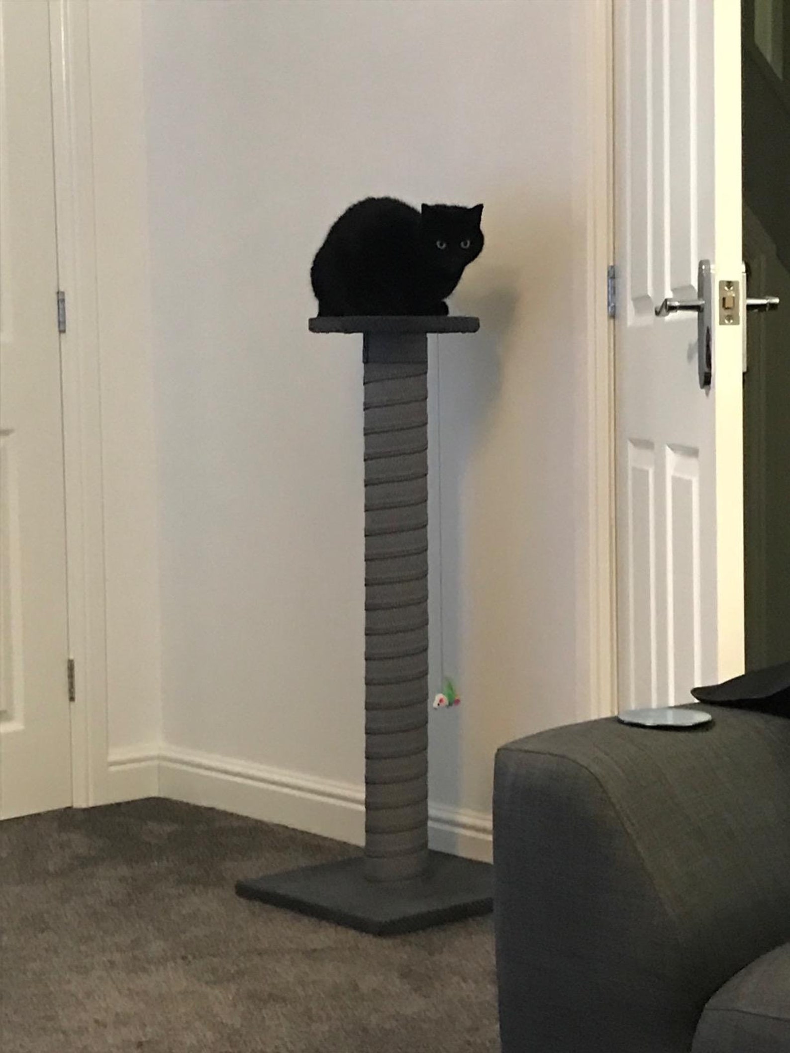 100cm Beige Giant Cat Scratching Post Extra Large Tall Etsy