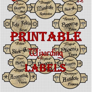 Wizard Potion Labels-  Printable B set of 10
