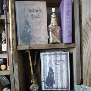 A History of Magic prop book