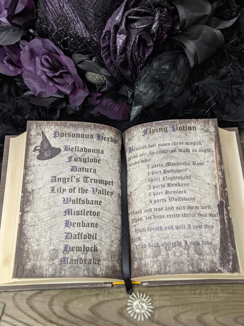 Potions and Poisons Prop Book With Optional Potions - Etsy