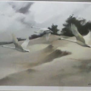 Windriders - signed, limited edition print, Manfred Schatz