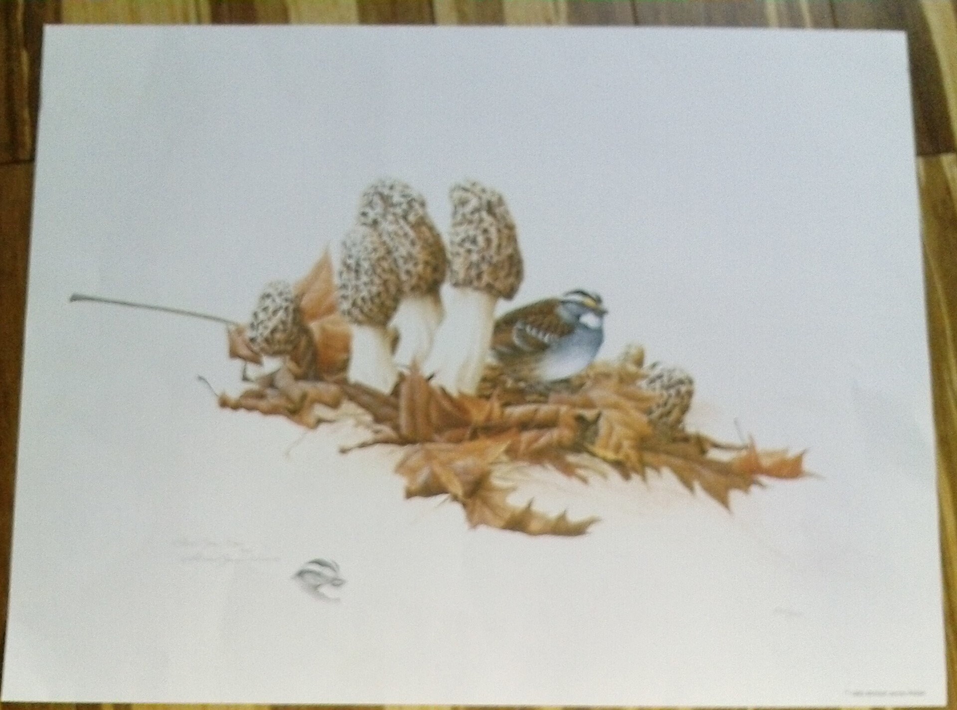 Sparrow and Morels Signed, Remarqued, Limited Edition Lithograph ...