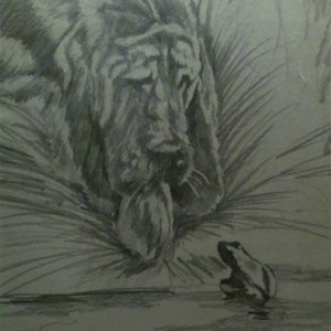 Dog and Frog - pencil drawing, Marty Murphy