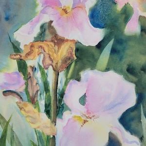 Iris - signed,  limited edition lithograph,  Vivian Byl