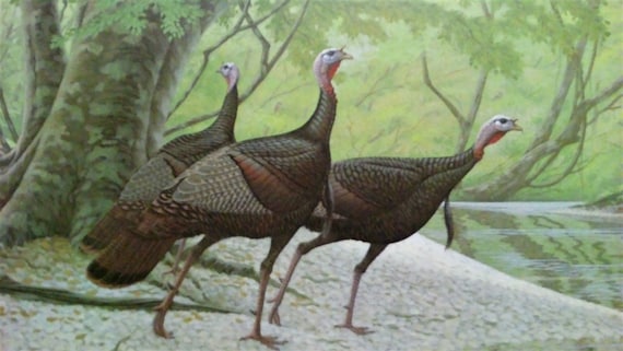 Richard Sloan limited edition lithograph 1982 Louisiana Wild Turkey Foundation Stamp Print with signed stamp signed