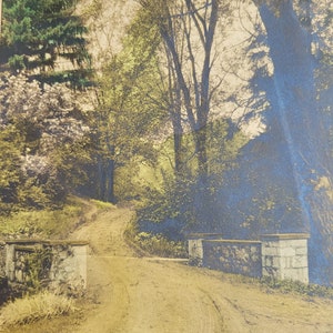 Printemps - photographie signée et coloriée à la main, Charles Ross
