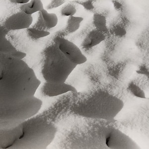 Snow II - photograph, Faith Haftel