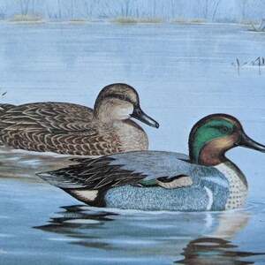Green Winged Teal - signed, limited edition lithograph, Lelend Schaperkotter