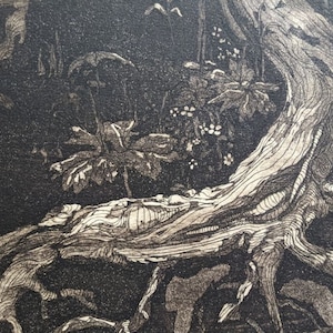 Tree Roots II - signed, limited edition etching on paper, Meg McDonald