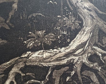 Tree Roots II - signed, limited edition etching on paper, Meg McDonald