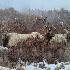 Advancing Storm - signed, limited edition lithograph, Kyle Sims