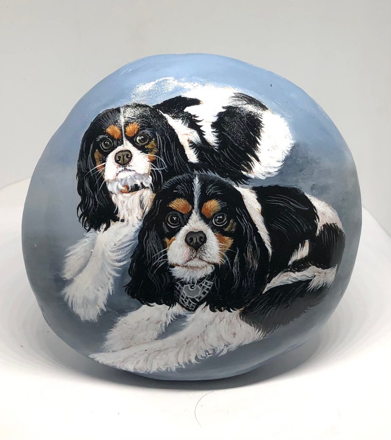 May include: Hand-painted rock art featuring two Cavalier King Charles Spaniels. The dogs are painted in realistic detail with black, white and brown fur. The background is a light blue colour.