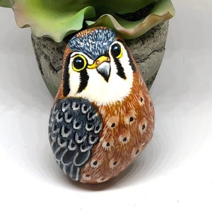 American Kestrel painted rock, 3.5 inches tall bird painted stone, Bird lovers gift, Wildlife art, Christmas gift, Unique Gift from daughter