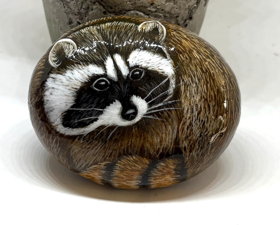 Cute Raccoon Painted Rock, Size 3.2 X 2.8 Inches, Christmas Gifts ...