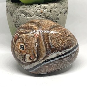 Squirrel Painted rocks for home decor, Spirit animal totem, Paperweight art for animal lovers, Unique animal painted stone for Christmas