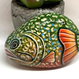 Trout Fish painted rocks, Decorative stone, Colorful tropical fish paperweight, Unique animal painted stones for gifts, Unique gifts
