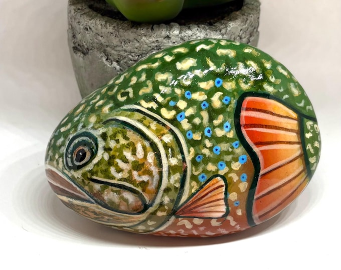 Trout Fish Painted Rocks, Decorative Stone, Colorful Tropical Fish ...