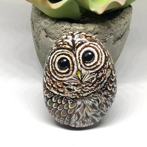 Owl Painted Rocks, Barred Owl Gifts for Women, Unique hand painted stones for garden decor