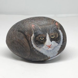May include: A hand-painted rock with a realistic depiction of a black and white cat with green eyes. The cat is curled up in a sleeping position.